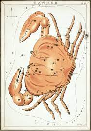 Emotional, intuitive, and practically psychic; Cancer Constellation Wikipedia