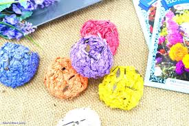 In the mixing bowl, add a tablespoon of water. How To Make Seed Bombs For Kids Easy Diy Seed Bombs Recipe Natural Beach Living