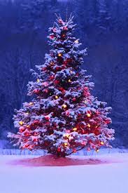 Outdoor Christmas Tree With Lights And Snow Christmaslights Outdoor Christmas Tree Christmas Wallpaper Christmas Decorations