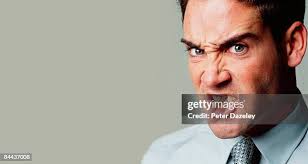 1,434 Has Peter Mock Stock Photos, High-Res Pictures, and Images