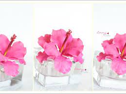 Gumpaste hibiscus flowers for sale. Gumpaste Hibiscus Cakecentral Com