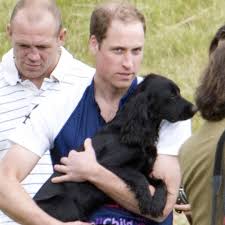 1600x1280 description watch dogs wallpaper 1080p is a hi res wallpaper for pc. Kate Middleton And Prince William S Dog Lupo Dead At Age 9 E Online Deutschland