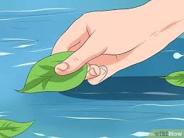 More filters and more pond life both help clear the water and keep it clean. 4 Ways To Keep Your Pond Clean Wikihow