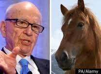 WSJ Serves Up Tainted Journalism On Horse Slaughter Plate