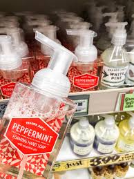 Ten Best Hidden Secrets Of Trader Joes In December Living With Amanda