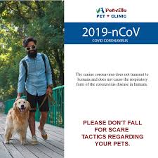 There may be a little bit of a wait until their next available appointment dates, but they do have appointments available. Petville Pet Clinic Petvillec Twitter