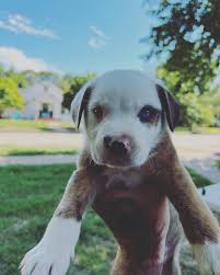 David Lee Beardsley (@el_vaquero_157) • Instagram photos and videos