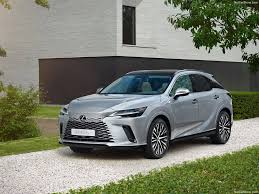 Image result for Desert Sage 2009 RX