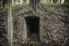 Secret Bunker Hidden In The Woods Belgium Secret Bunker Underground Shelter Belgium
