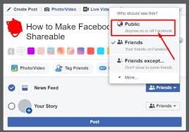 Click on the topmost option from the dropdown menu that says 'public.' continue writing the post or adding photos or videos, whatever you desire. How To Make Facebook Posts Shareable Regendus