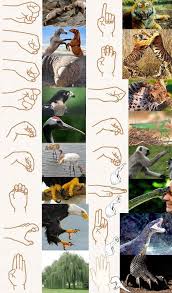 Kung Fu Hands Yogainspration Martial Arts Workout Wing Chun Martial Arts Self Defense Martial Arts