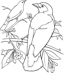 Free printable aurora with two birds coloring page in vector format, easy to print from any device and automatically fit any paper size. Bird Coloring Pages 75 Best Images Free Printable
