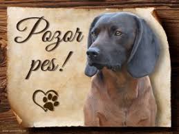 Image result for bavorský barvář