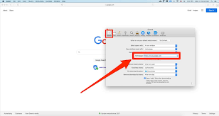 Mar 02, 2021 · but if you want your browser and new tabs to open on www.google.com, you can follow the steps below: How To Make Google Your Homepage In Chrome Safari More
