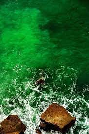 Pin Von Angela Pedrazzini Auf Lime Green Bilder Farbe Des Lebens Colors Of The World
