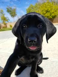 5.0 out of 5 stars 5. Reviews