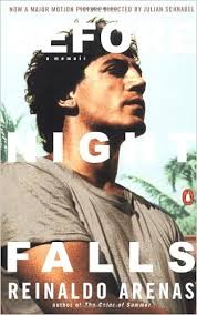 My 10 Favorite Latin American Books