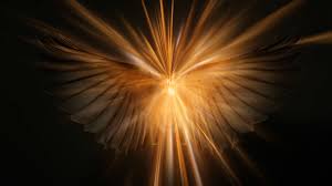 Angel Wings In Bright Light On Black Background Cinemagraph Stock Footage Ad Bright Light Angel Wings Bright Lights Lights Background Black Backgrounds