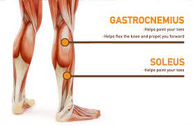 The best calf exercises are those that target both types of muscles. 8 Exercises For The Best Calves Workout Openfit