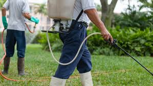Ace pest management is on the cutting edge when it comes to our pest management programs. Pest Control Pest Control North Port Florida