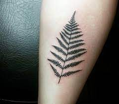 Adorn yourself with these striking tattoos inspired by nature as featured in the observer magazine, buzzfeed, notcot, design crush and many more. 20 Fern Tattoos Tattoofanblog