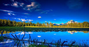 28 Nature Background Images For Windows 10 Landscape Flowers Field Nature Background Images In 2020 Nature Background Images Nature Backgrounds Landscape Wallpaper