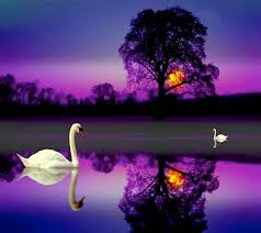 We have a massive amount of if you're looking for the best beautiful desktop wallpaper then wallpapertag is the place to be. Beautiful Wallpaper Wallpaper By Savanna 85 Free On Zedge