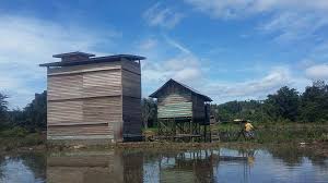 Terbukti setelah posisi dan jarak antartweeter diubah, muncul suara jernih yang membuat walet mau menetap. Cara Membuat Rumah Sarang Walet Yang Benar Dan Cepat Di Huni Ilmuwalet Com