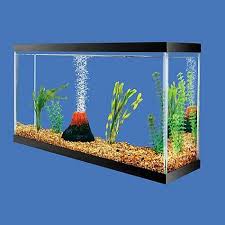 Petco Bubbling Volcano Decoration Aquarium Air Pump 3 Gallon Fish Tank Aquarium