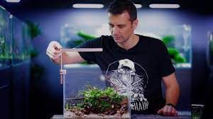 Aquariums are a lovely addition to any space, creating a lively focal point and a source of color and entertainment. Build A Nano Aquascape Starting Guide For Beginners Youtube