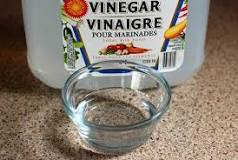 Image result for carpet cleaning vinegar solution