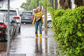 Jun 30, 2021 · a flash flood warning has been issued for regions south of the kansas city metro until 4 p.m. Tropical Storm Bertha Makes Landfall On South Carolina Coast With 50mph Winds Express Digest