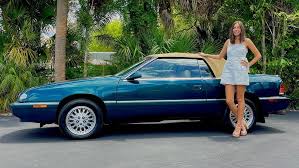 Image result for Medium Driftwood 1994 Chrysler