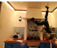 If you are thinking this, don't worry; Upside Down Museum And Muzium Terbalik Travel To Penang Facebook
