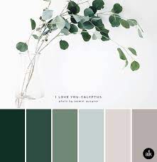 A Eucalyptus Inspired Color Palette Creative Brands For Creative People Akula Kreative Grune Farbpalette Bunte Hauser Wandgestaltung Ideen