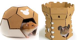 Coats can vary in color from whites to browns, grays, and black, and by fur length, from short to long. My 7 Cardboard Ideas For Pet Lovers And Their Furry Friends Bored Panda