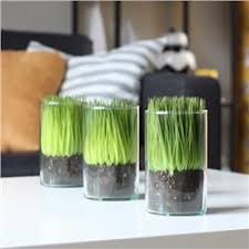 Forever Terrarium Set Of 3 Grass Products Willardandmay Com Outdoor Living Blog Faux Grass Living Space Decor