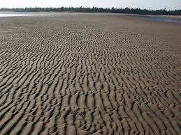 From wikimedia commons, the free media repository. Tectonics And Structural Geology Features From The Field Ripple Marks