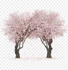 Check spelling or type a new query. Sakura Trees By Rosemoji On Deviantart Svg Transparent Transparent Sakura Tree Wallapper Png Image With Transparent Background Toppng