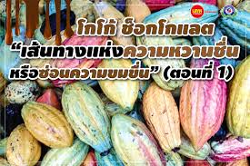 โกโก้ ช็อกโกแลต “เส้นทางแห่งความหวานชื่นหรือซ่อนความขมขื่น”