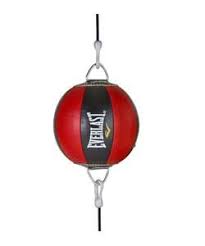 Everlast Floor To Ceiling Ball Sports Sports Celebrities Everlast