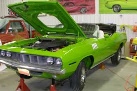 Image result for Amber Sherwood 1973 Fury