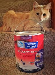 From hiding stains to blocking odors, kilz® covers it all. Review Sherwin Williams Ovation Interior Paint Welcome To 1964