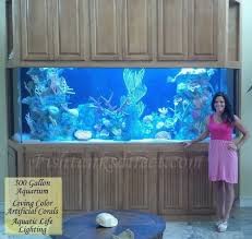 Beat Acrylic Fish Tank Camata Website