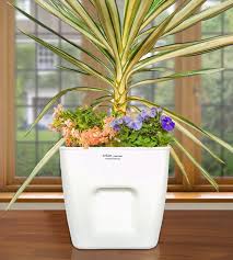 Check spelling or type a new query. Self Watering Pots Livewell Green