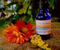 Aytz Chayim Aytz Chayim Aromatherapy Aromatherapy Organic Essential Oils Spice Blends