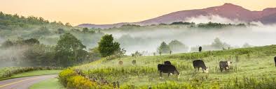 They teach that from day one. The 15 Best Things To Do In Boone 2021 With Photos Tripadvisor