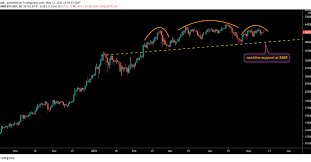 The bitcoin price has begun to move in a different direction than the s&p 500, which has gone straight down over the past month. Bitcoin At Risk Of Correction To 42k Technical Analyst Says Coindesk