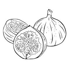 Click on the link to view different cute orange colorng sheets. Coloring Pages Coloring Pages Figs Printable For Kids Adults Free To Download