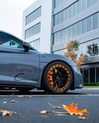 Image result for Samoa Orange 2014 S1